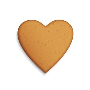 Gingerbread Biscuit